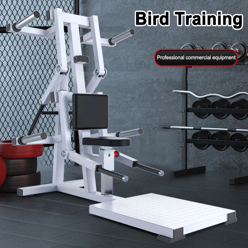 Side Lift Trainer, Double Arm Abduction Machine, Commercial Gym Specific Equipment, Shoulder Arm Comprehensive Strength Device