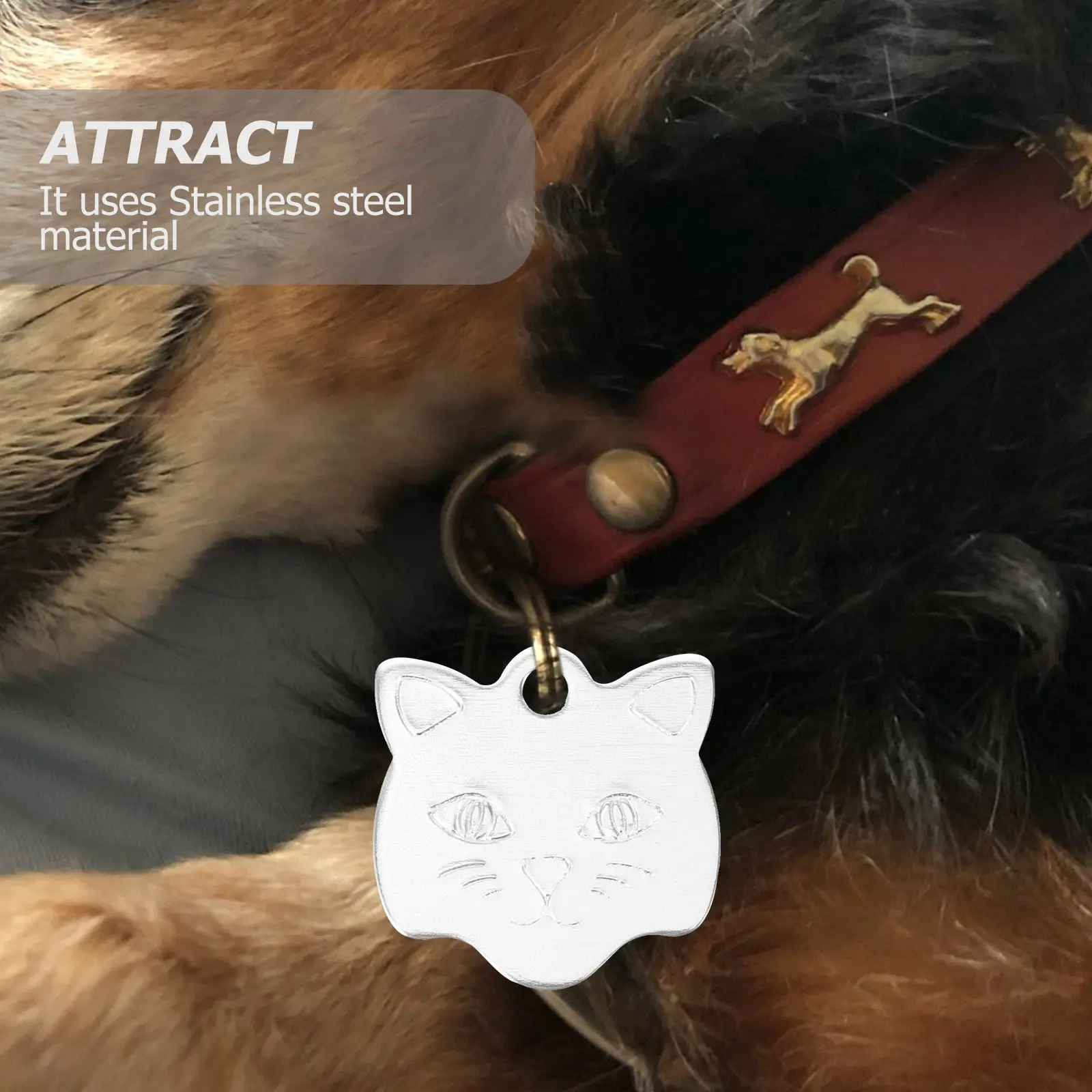 10Pcs Dog Id Tags A…