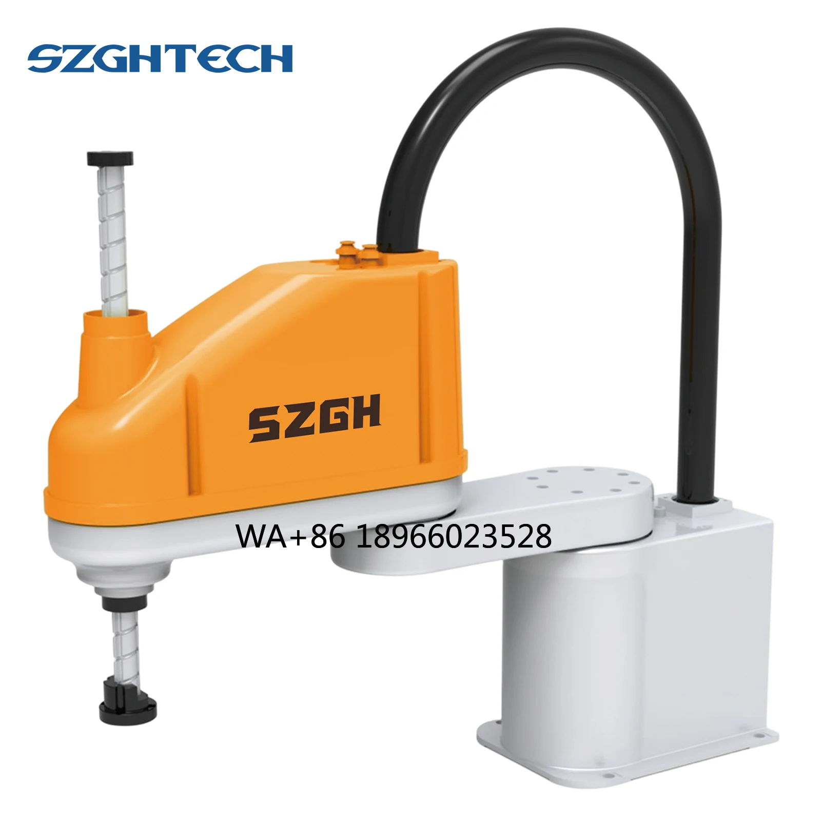 New Arrival Scara S…