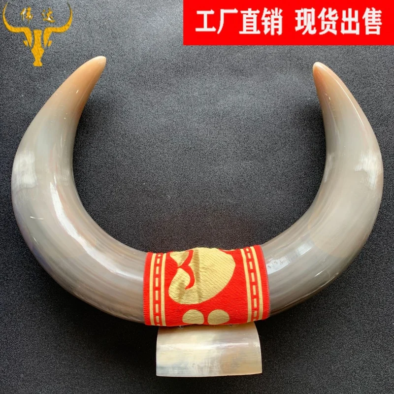 

Horn Stand Angle Yak Skull Ornaments Diagonal Ornaments Horn Crafts Scenic Spot Recommend Comb Factory Wholesale