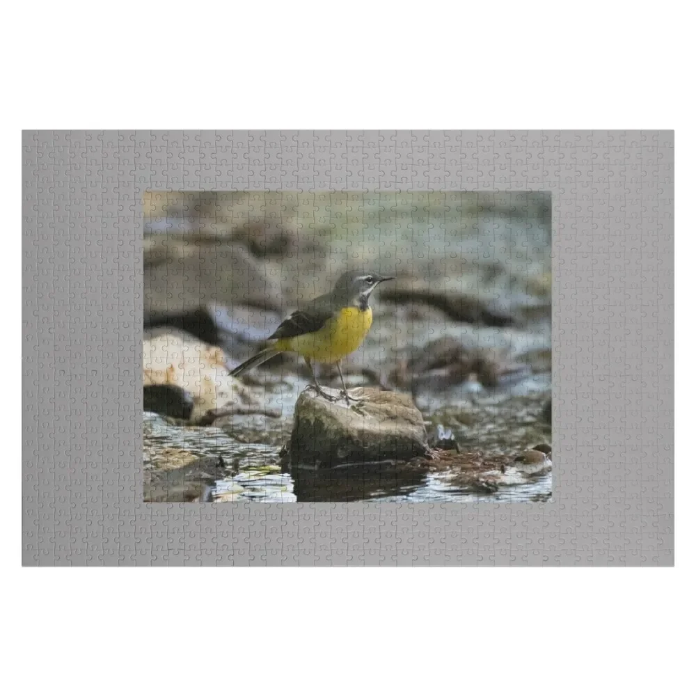 

grey wagtail Jigsaw Puzzle Toddler Toys Customized Picture Personalized Toys Puzzle