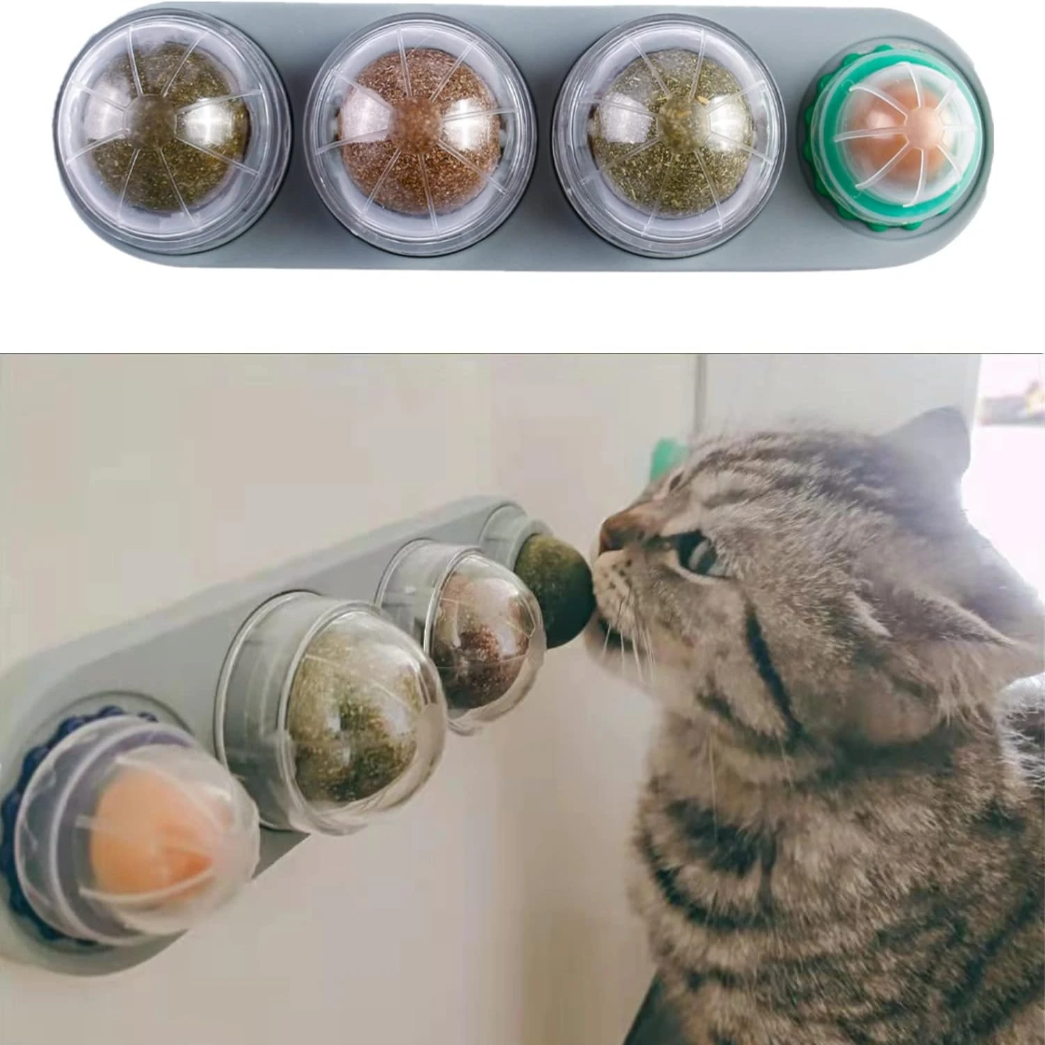 

Increase engagement with your playful feline companion using thrilling and dynamic authentic blue catnip ball toys - interactive