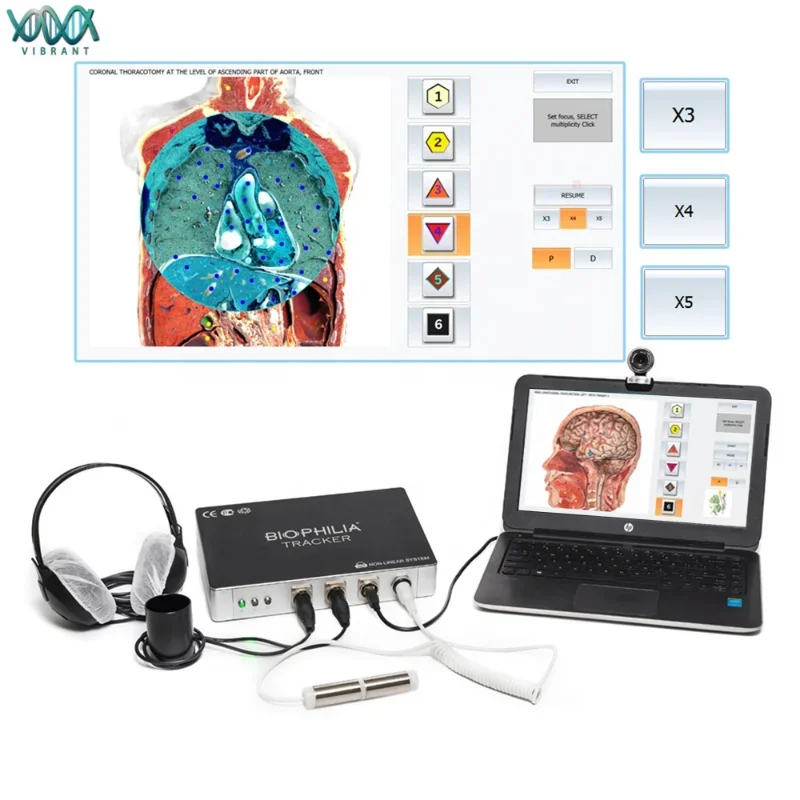 2022 The Latest Version Biophilia Tracker X3 Hi-Accuracy For Body Analyzer