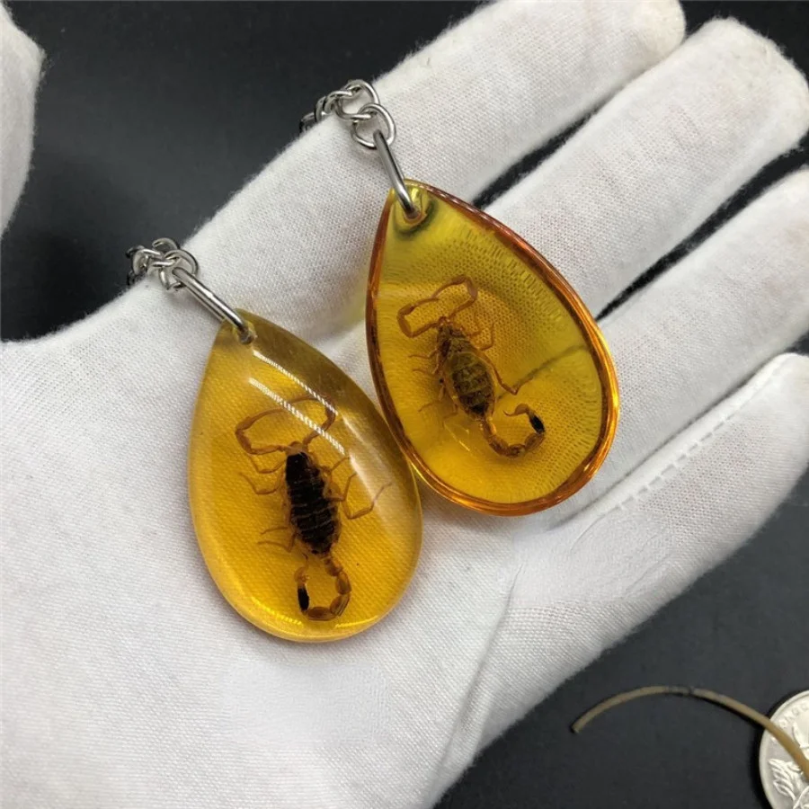 1PC Insect Specimen Amber Keychain Hanging Small Gift Car Key Bag Keychain Hanging Ornament