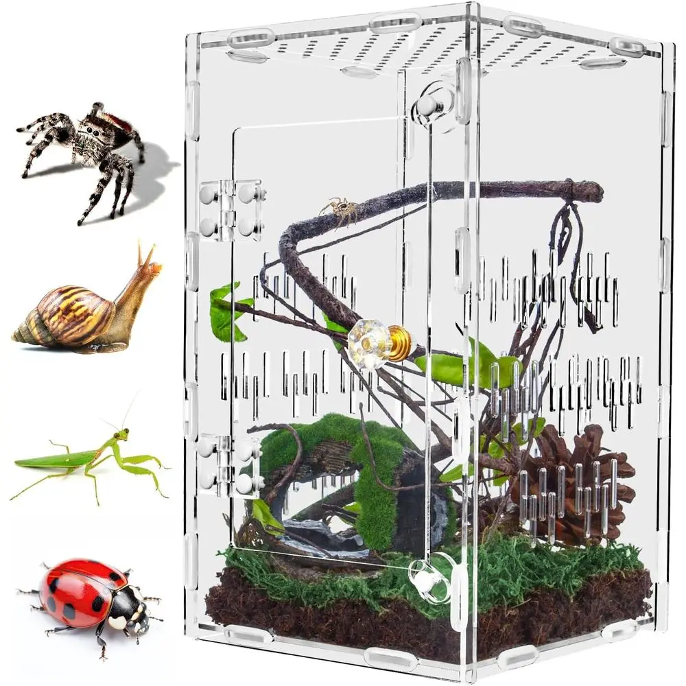 Kandang Laba-laba Loncat, Habitat Mantis Berdoa Akrilik Besar, Kandang Terarium Serangga Berventilasi 10*6*6 inci dengan Bukaan Depan