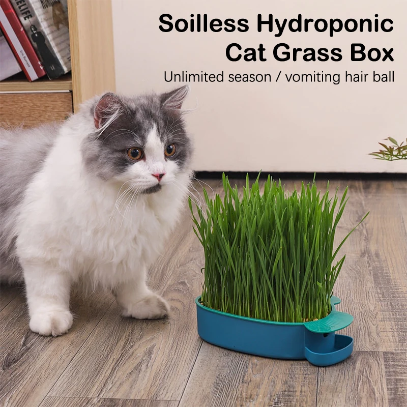 Hierarchical Design Cat Grass Cultivation Cup Reusable Catnip Soilless Growing Container Seed Germination Tray Planting Box