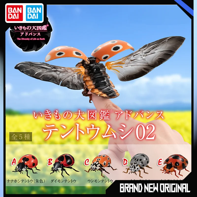 

BANDAI Biological Encyclopedia Figures Model Ladybug Insect series Gashapon Original toys Desktop ornament