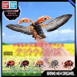 BANDAI Biological Encyclopedia Figures Model Ladybug Insect series Gashapon Original toys Desktop ornament