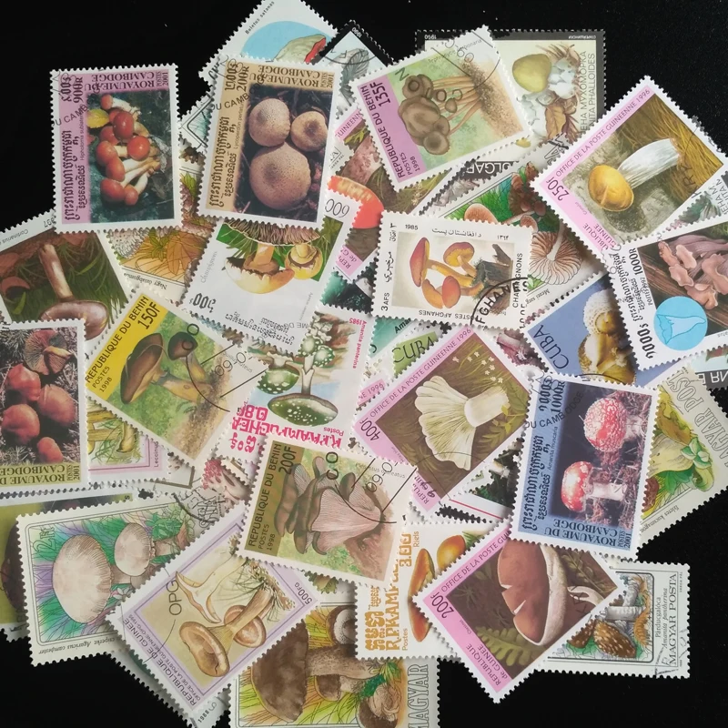 100 Different Original Mushroom Postage Stamps Real Used Large Medium-sized Post Stamps For Collection Vintage Diary Decoration