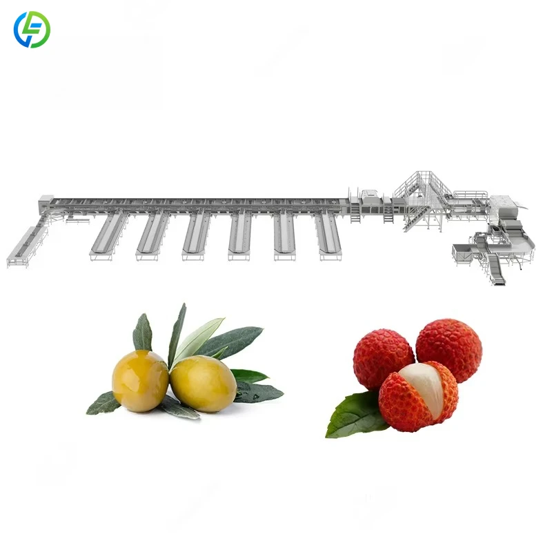 Factory Price Vegetable Grading Machine Carrot Sorting Machine Onion Cucumber Grading Machine Customized