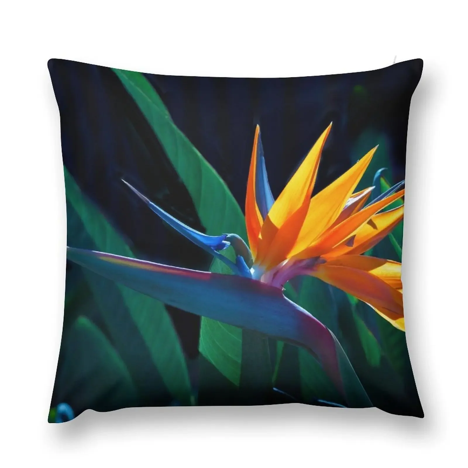 Bird of Paradise flower (Strelitzia nicolai) Throw Pillow Room decorating items Cushion Cover Luxury Christmas Pillow pillow