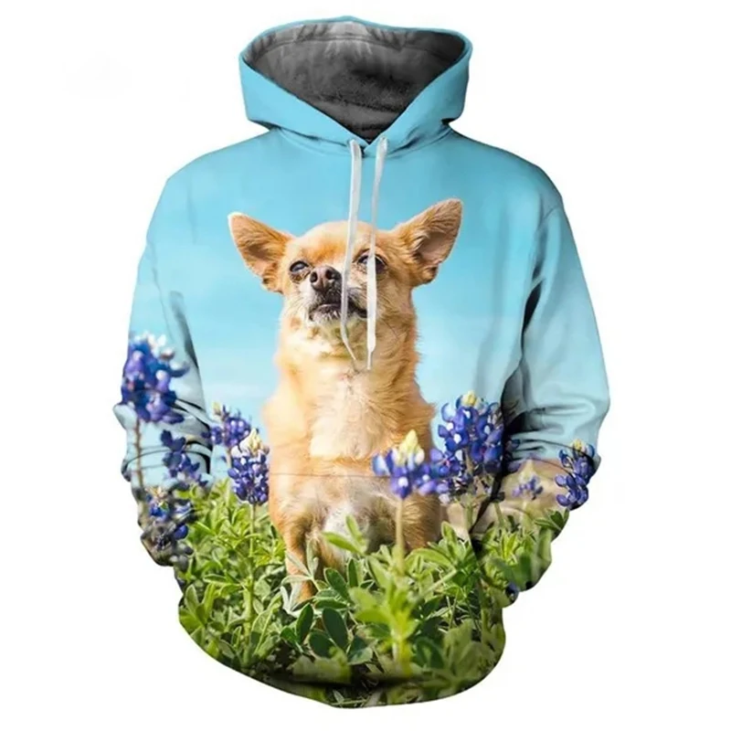 Autumn Animal Dog Chihuahua 3D Print Hoodies Men Women Fashion Casual Sweatshirts Oversized Hoodie Pullovers Tracksuit Clothing