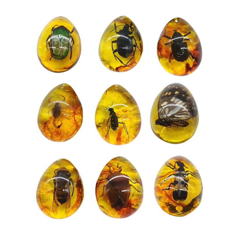 1Pcs Insects Amber Gemstone Scorpion Natural Mineral Stones Home Decoration DIY Hand Crafts Specimen Gift Wholesale Random