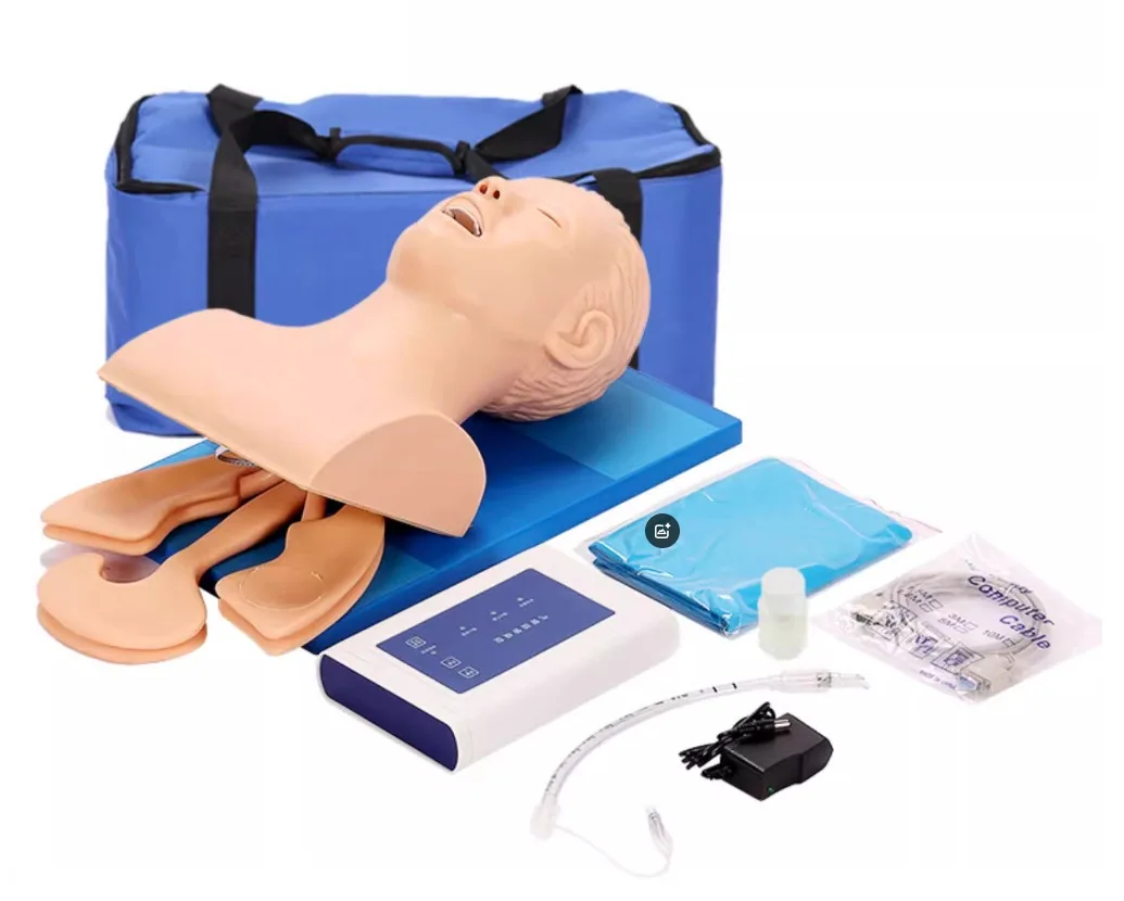 

Human Body Adult Manikin Teaching 110-220V Electronic Airway Management Trainer Tracheal Intubation Model
