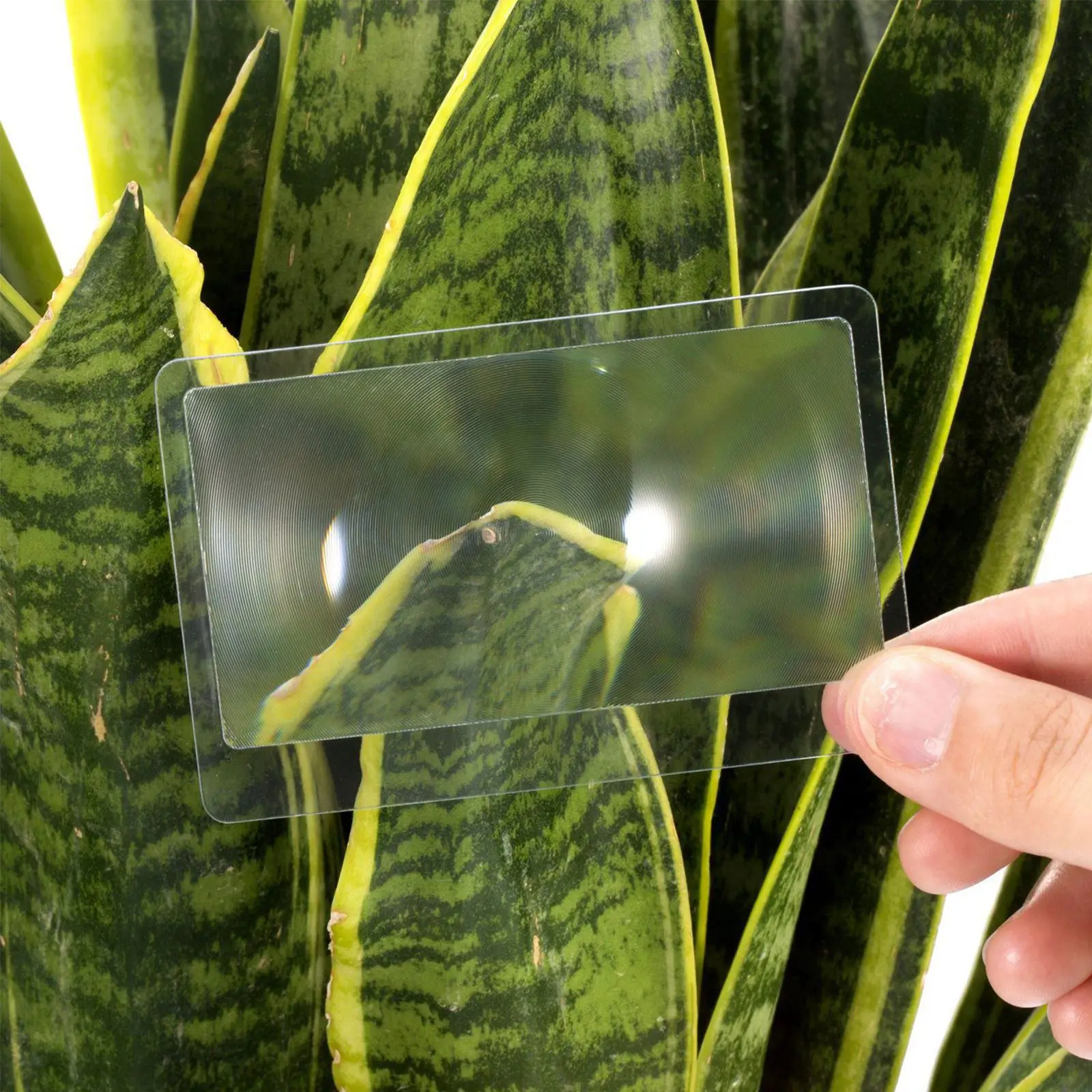 10Pcs Credit Card Sized Magnifying Lens 5X Flat Optical Fresnel Sheet Pocket Wallet Bookmark Magnifier for Reading Small Print