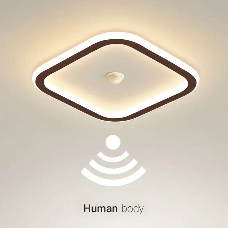 

Modern LED Ceiling Light Human Body Induction Lamp for Living Room Entrance Hallway Corridor Sensor Lamp indoor lighting fixture