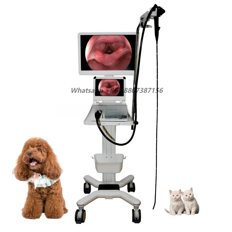 Animal Surgical Endoscope Multifunctional Cold Light Source 80W LED 1080P Resolution Portable Veterinary Endoscopy System