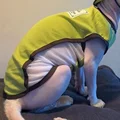 1pc Vest