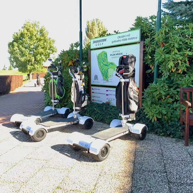 Skate elétrico para adultos, design novo, scooters com 4 rodas, 60V, 2000W