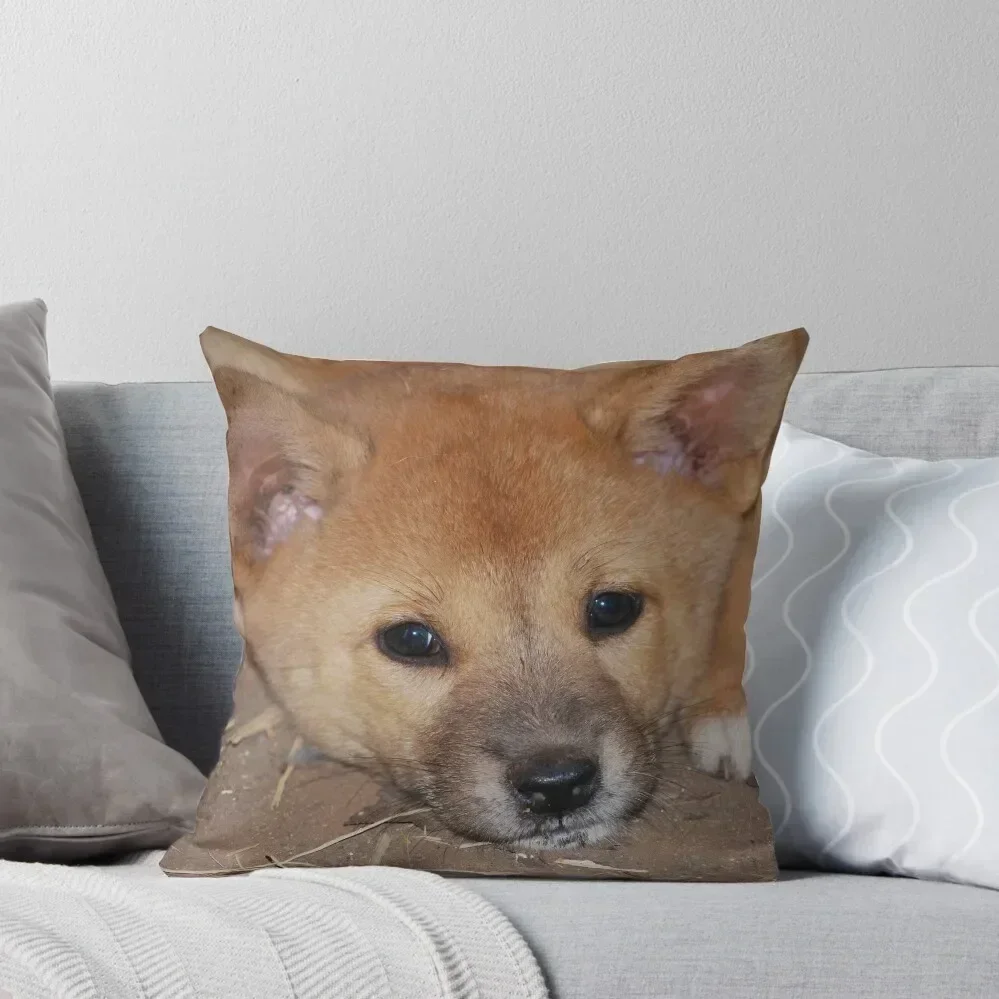 

Dingo puppy Throw Pillow Covers For Sofas Couch Cushions pillow pillowcase pillow