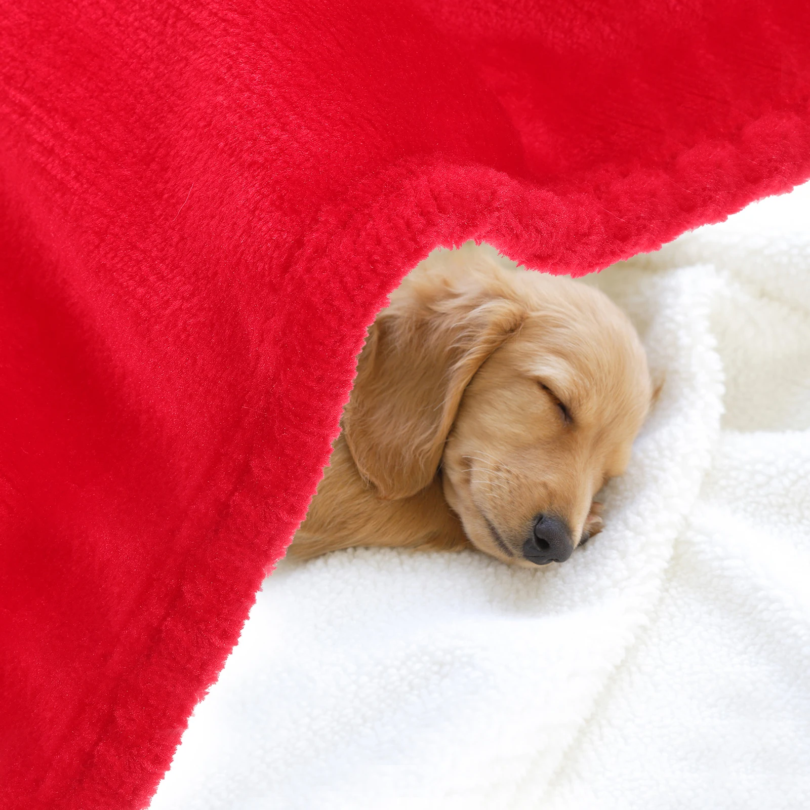 

Fleece Blanket Pet Pink Dog Throw Flannel Blankets for Dogs Fuzzy Small