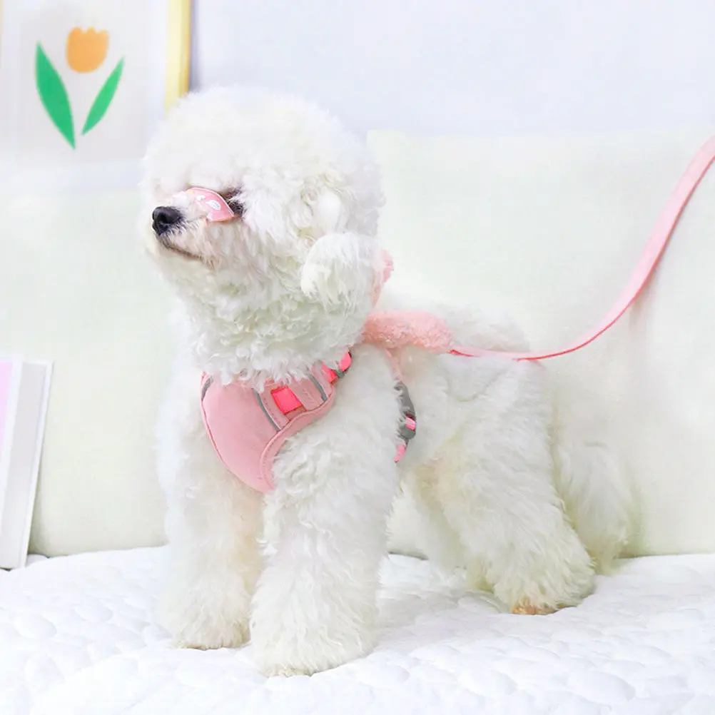 

Puppy Training Leash Dog Harnesses for Small Dogs and Rope outside Pet & Leashes