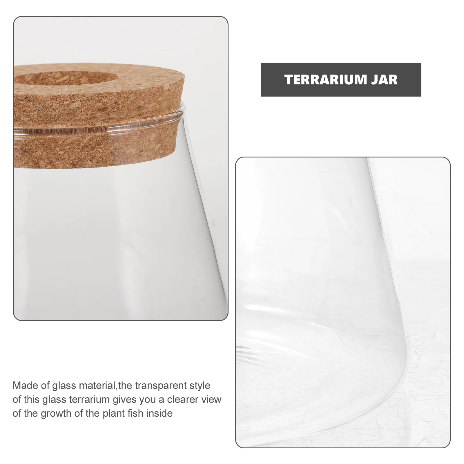 

Small Glass Terrarium Jar for Hydroponic Plants Fish Bowl Desktop Decor Creative Home Garden Decoration Container