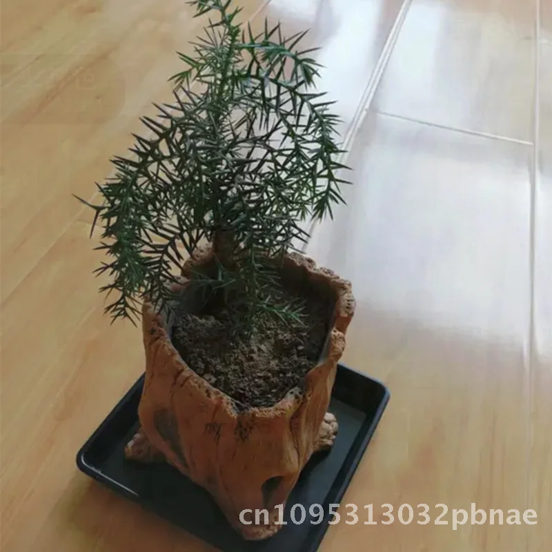 Retro Creative Cement Imitation Wood Flower Pot Breathable Sturdy Durable Desktop Floor-Standing for Home Garden Decor