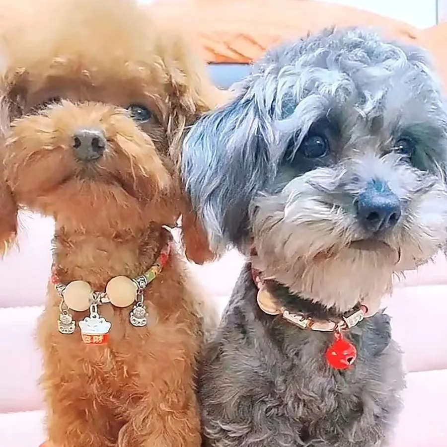 Pet Collar Insect Repellent Flea and Tick Prevention Puppy and Cat Supplies Bell and Camphor Necklace