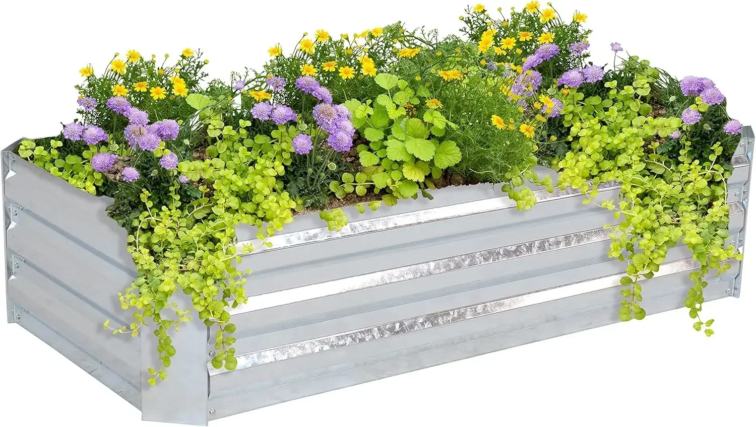 Sunnydaze 48-Inch Galvanized Steel Raised Garden Beds - Rectangle Planter for Vegetables