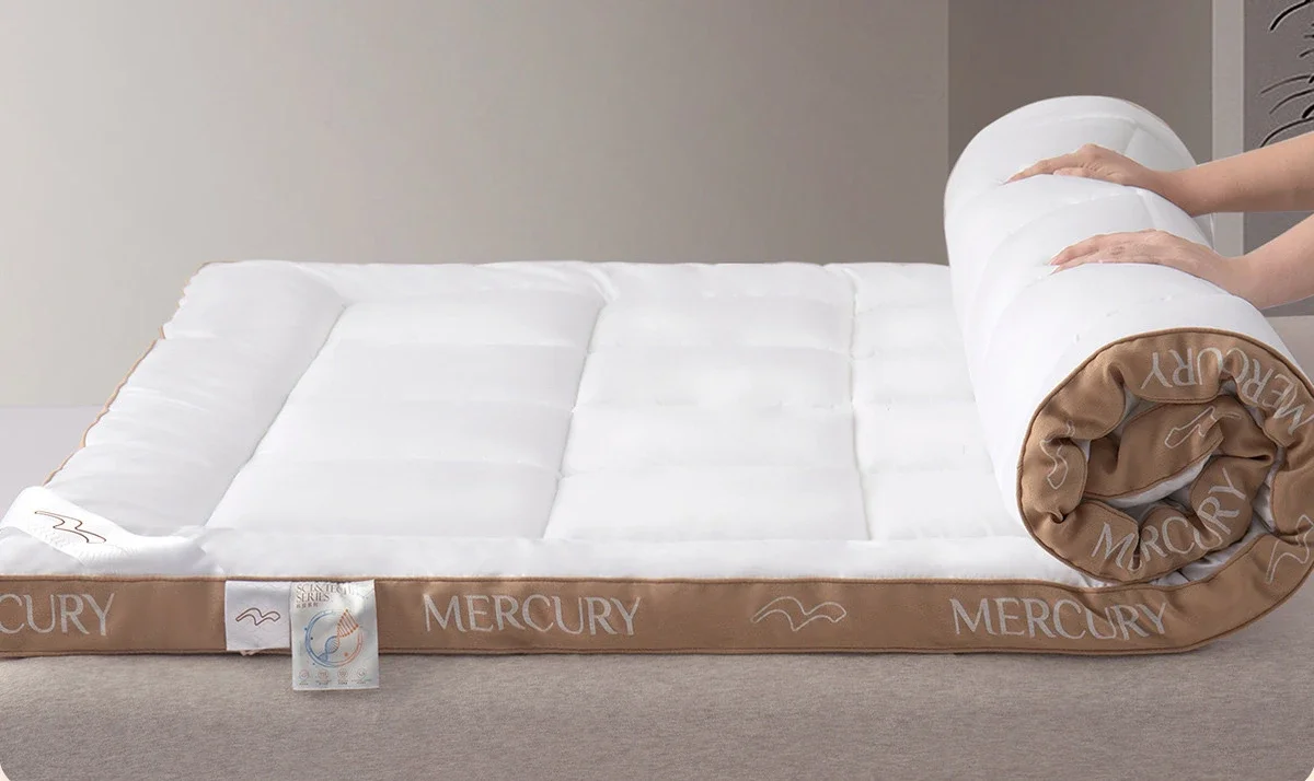 

Mattress mattress single tatami bed cushion