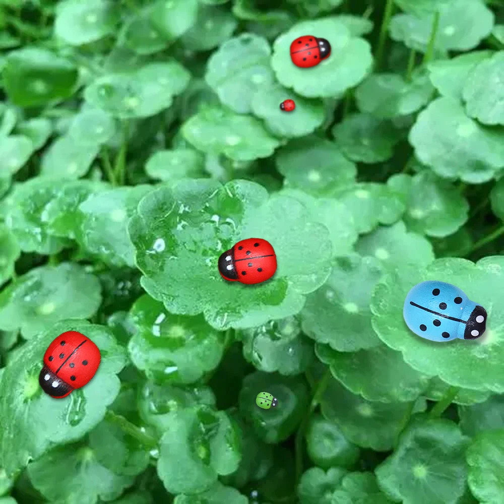 Simulated wooden ladybug beetle beetle adhesive micro landscape DIY moss succulent plant fairy garden decoration accessories