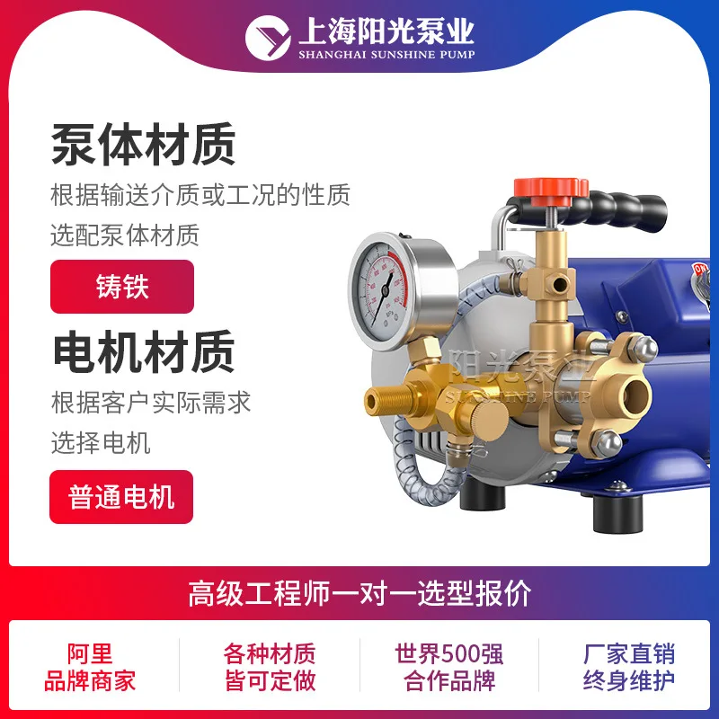 [Customized] DSY type electric pressure test pump, portable pressure test pump test p pipeline electric  tes