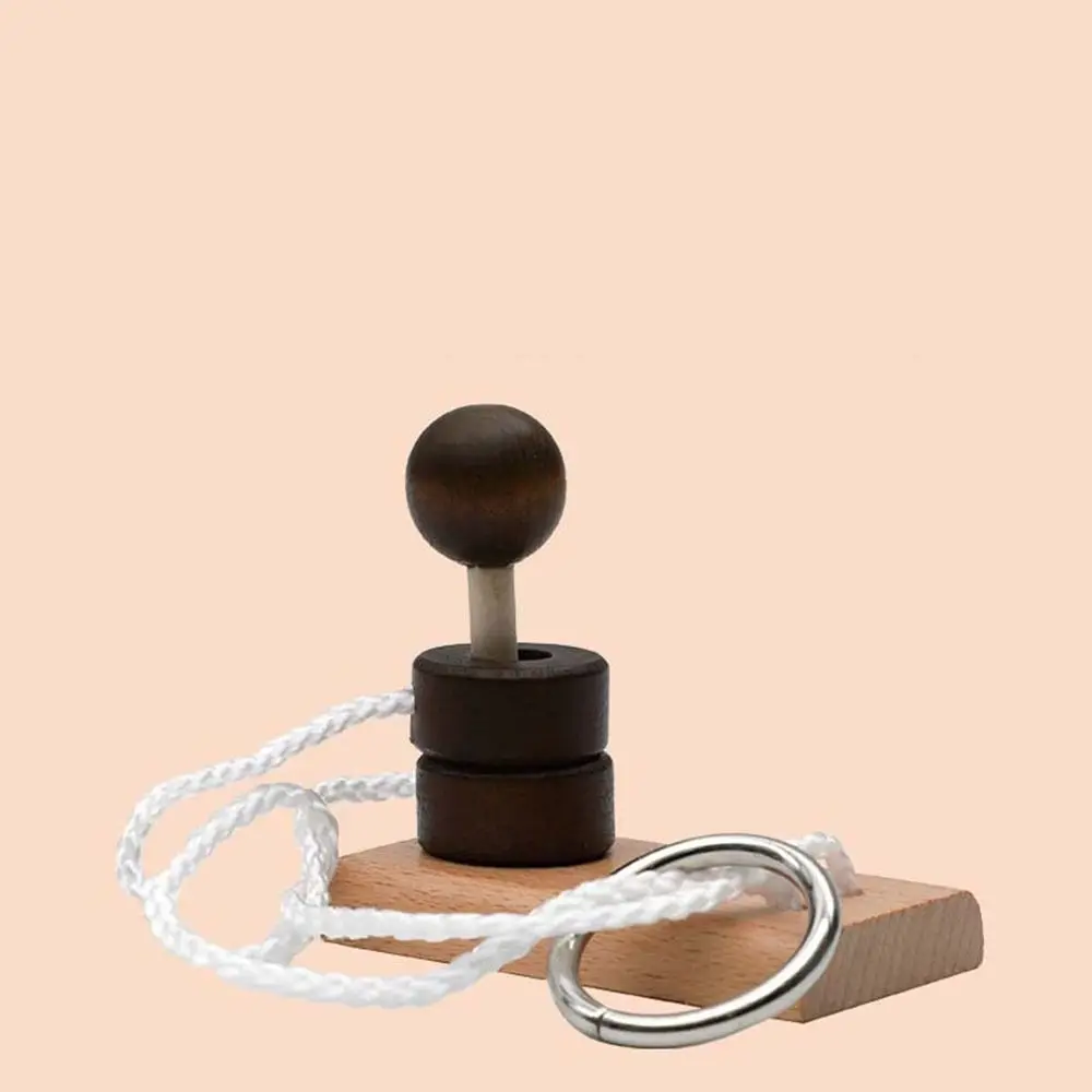 Giochi di pensiero 3D Threading Rope Loop Puzzle Rompicapo Montessori Kongming Lock Lu Ban Lock Adulti