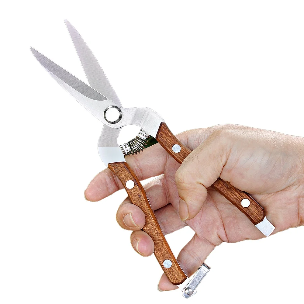 

Solid Wood Non-Slip Fruit Picking Scissors Manganese Steel Gardening Pruning Grafting Floral Pruning Thorn Removal Garden Shears