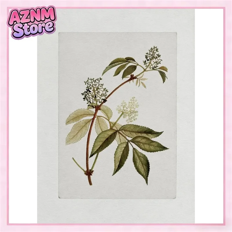 Vintage Botanical Rustic Wall Flowers Herbs Art Poster Canvas Painting Wall Prints Picture for Living Room Home Decor Cuadros
