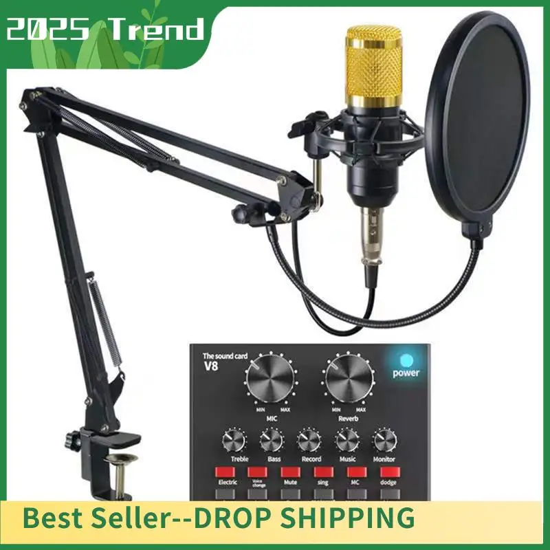 

Top Deals BM-800+V8 Sound Card Kit Spare Parts Podcast Equipment Bundle Voice Network Karaoke Diaphragm Condenser Microphone Kar