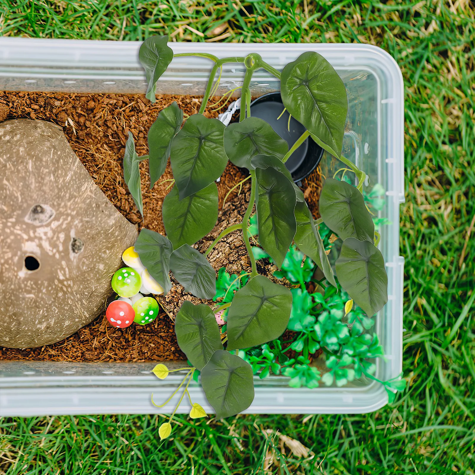 

Realistic Fake Terrarium Plants for Reptiles with Suction Cup Lightweight Decorative Vines for Lizard Habitat Easy Install