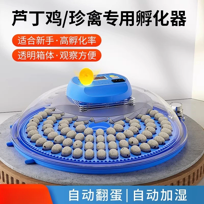 Incubator Small Household Automatic Intelligent Egg Incubator Chicken Duck Rutin Chicken Incubator Incubation Box