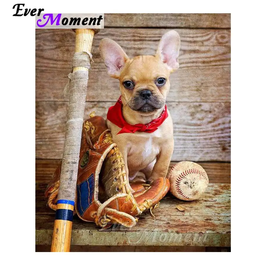 

Dog Animal Diamond Embroidery 5D DIY Ever Moment Diamond Painting Mosaic Cross Stitch Full Square Home Decorations ASF1246