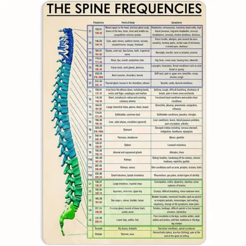 

Знания о частотах позвоночника жестяной знак плакат винтажный Декор для дома тренажерного зала фитнеса