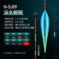 H SJ09