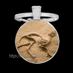 Biological Fossils Keychains for Men Plant Dinosaur Fish Tortoise Key Holder for Keys Cool Keychain for Boy