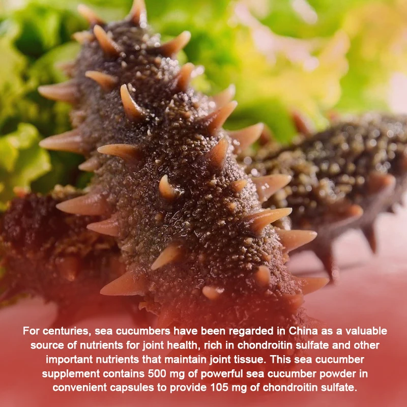 Sea Cucumber - A Natural Supplement for Joint Health and Mobility - Supports Cartilage Protection and Connective Tissue Health