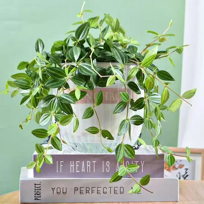 New Transparent Hanging Basket Flower Pot For Lazy People Self-priming Hydroponic Resin Large Diameter Fall-resistant Shampoo