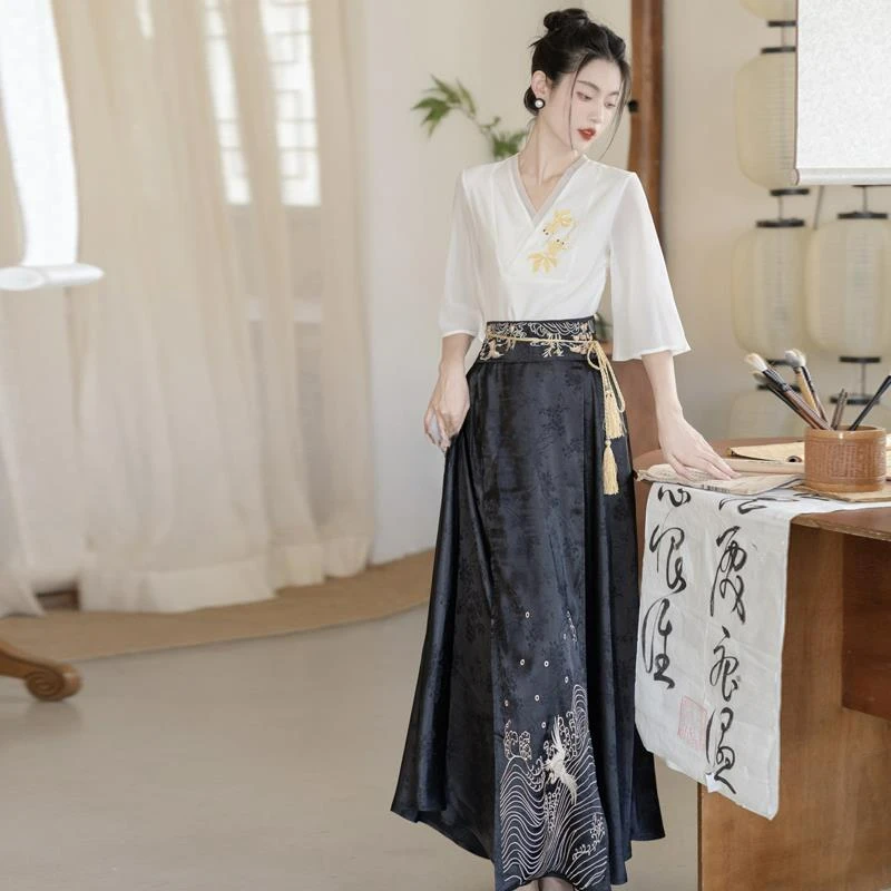 تنورة وجه حصان من سلالة مينغ الصينية التقليدية للنساء ، مجموعة هانفو على الطراز العتيق ، فستان رقص شعبي للسيدات ، عتيق ،