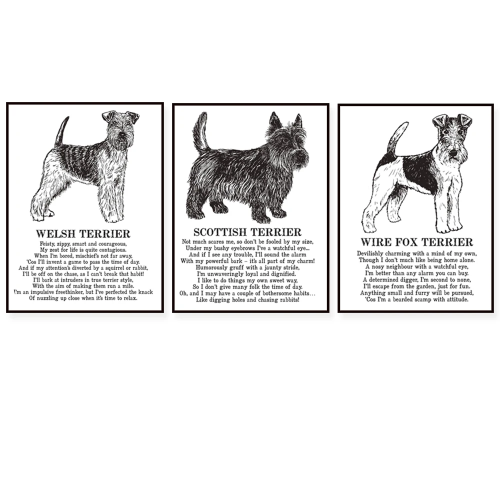 Rhodesian Ridgeback, Havanese, Wheaten Terrier, Scottish Deerhound, Welsh Terrier, Wire Fox Terrier, Kavapo animal poster print