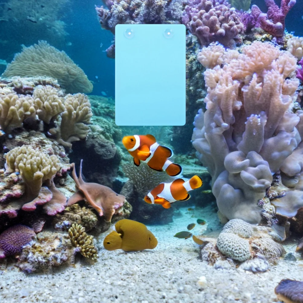 

3Pcs Aquarium Breeding Spawning Plate Set Blue Plastic Egg Laying Plate for Fish Tank Decoration and Incubation Fish Breeding