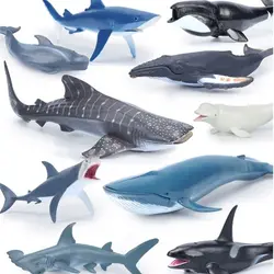 Simulation Marine Sea Life Whale Figurines Shark Cachalot Action Figures Ocean Animal Model Dolphin Hammerhead Educational Toys