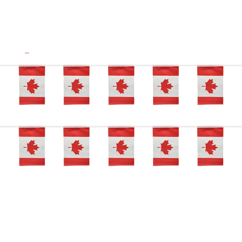 SKY FLAG Canada bunting flags 14x21cm 20pcs/lot Canada String flags Pennant Banner for Festival Party decoration